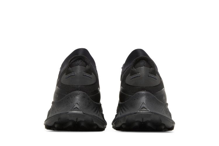 Кроссовки Nike Wmns Pegasus Trail 3 GTX 'Triple Black'