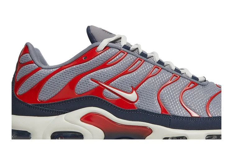 Кроссовки Nike Air Max Plus 'Grey USA'