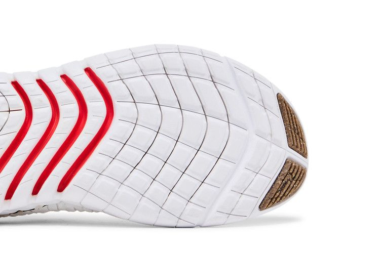 Кроссовки Nike Wmns Free Run 5.0 Next Nature 'White Leopard'