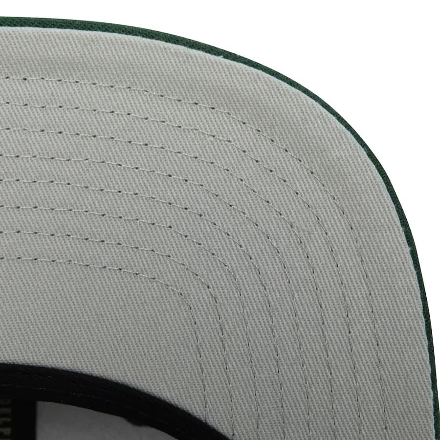 Бейсболка Mitchell & Ness Green Green Bay Packers Tapestry Snapback Hat