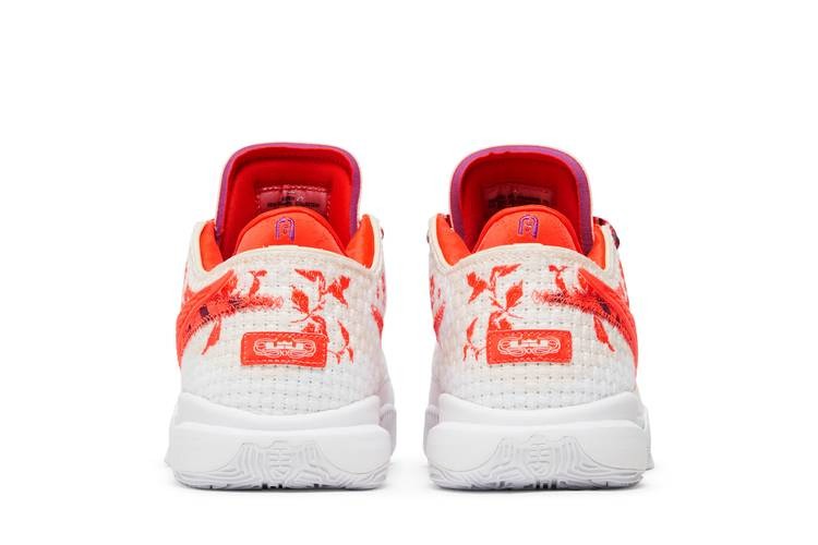 Кроссовки Mimi Plange x Nike LeBron 20 Premium EP 'Ceremony'