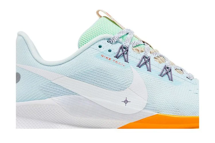 Кроссовки Nike Wmns Pegasus Trail 5 'Sundial Daybreak'