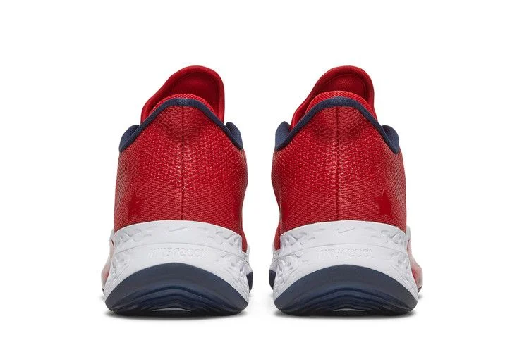 Krossovki-Nike-Air-Zoom-BB-NXT-USA-5
