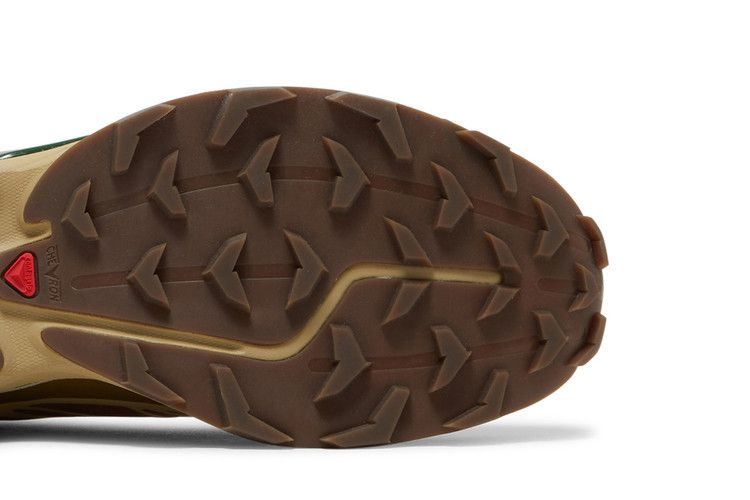 Кроссовки Salomon XT-6 'Rubber Lizard'