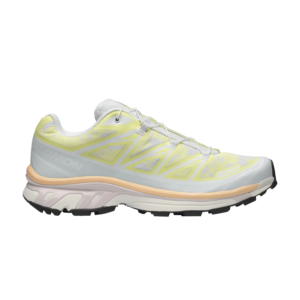 Krossovki-Salomon-XT-6-Alpen-Blossom-Ice-Flow