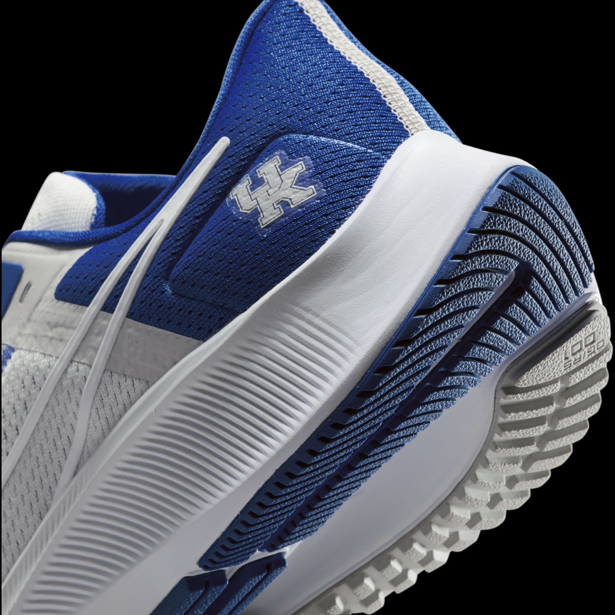 Кроссовки Nike Air Zoom Pegasus 38 'Kentucky'