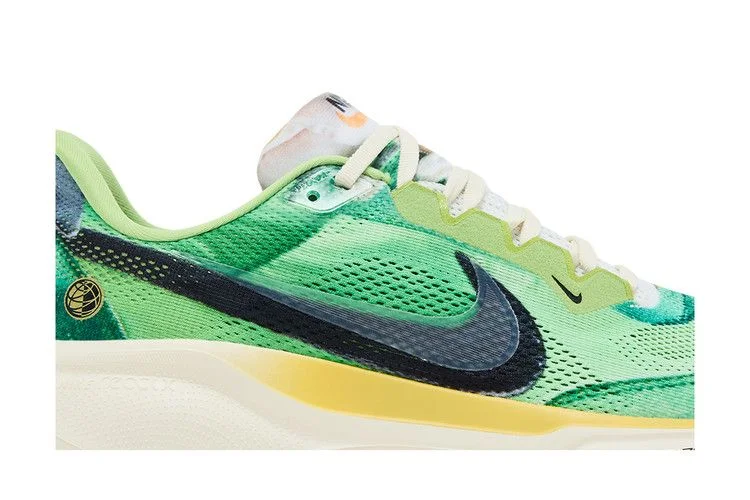 Кроссовки Nike Air Zoom Pegasus 41 'International Running Pack'