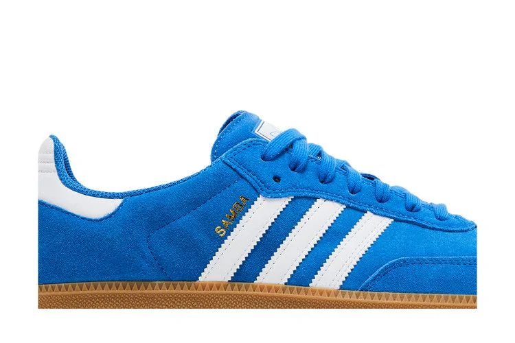 Кроссовки adidas Samba ADV 'Blue Bird Gum'