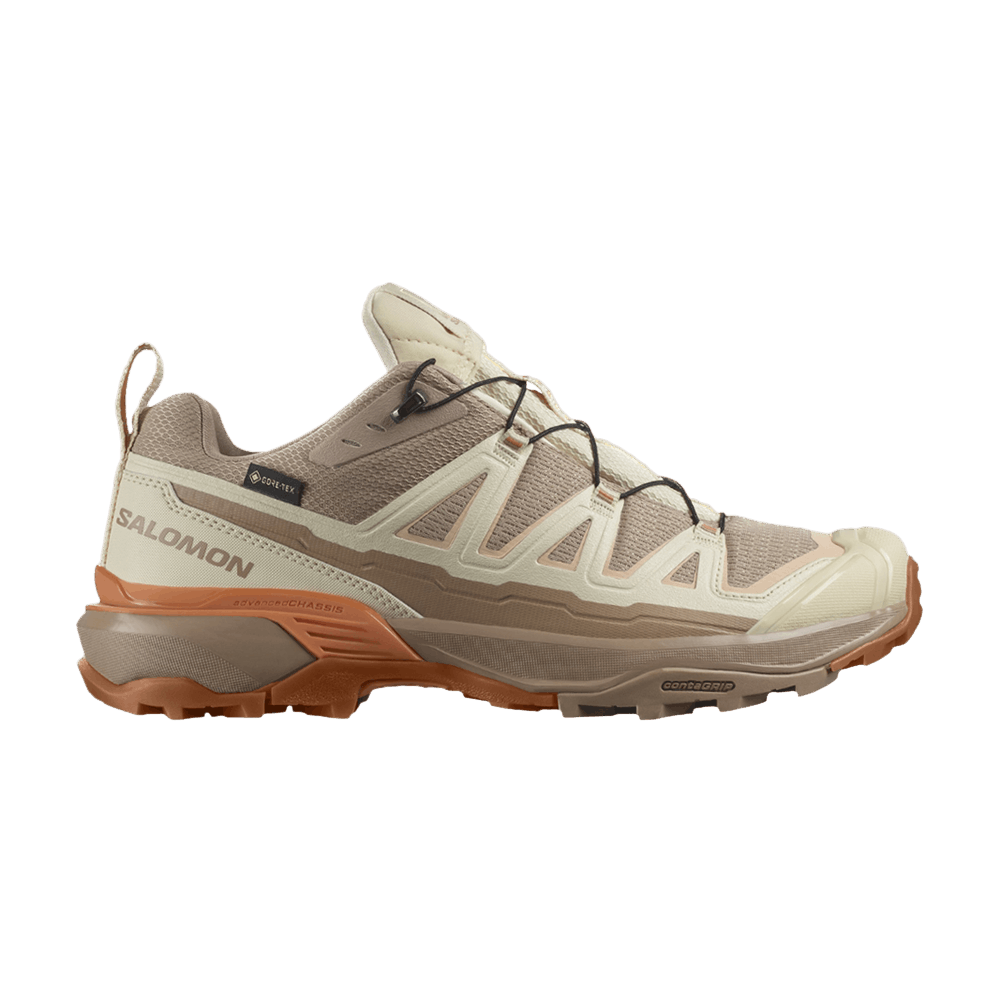 Кроссовки Salomon Wmns X Ultra 360 Edge GORE-TEX 'Raw Umber'