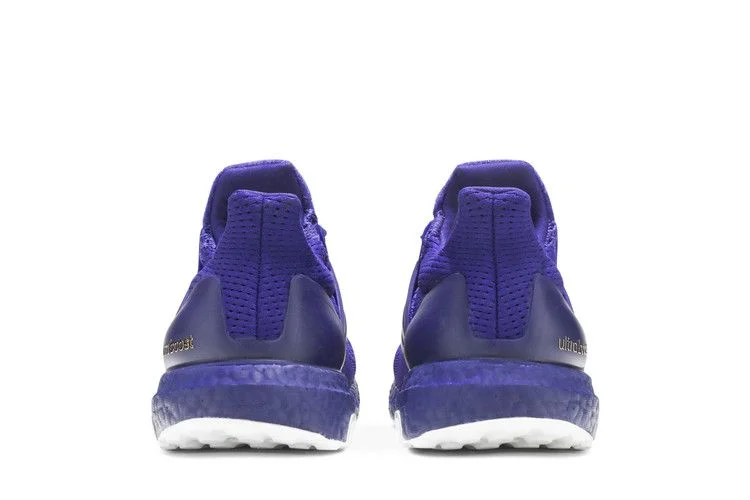 Krossovki-Adidas-UltraBoost-1.0-NCAA-Pack-Washington-5