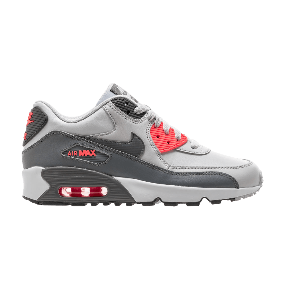 Кроссовки Nike Air Max 90 LTR GS 'Pure Platinum'