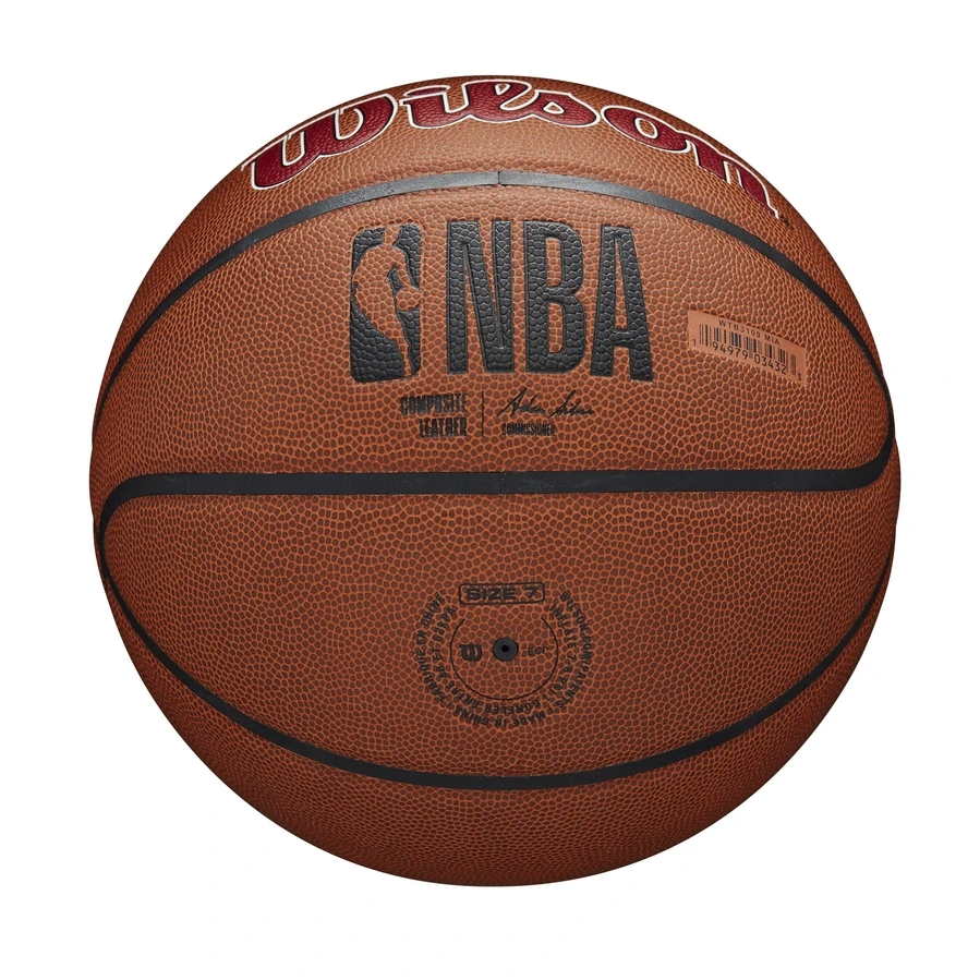 Wilson Miami Heat Team Alliance NBA Basketball