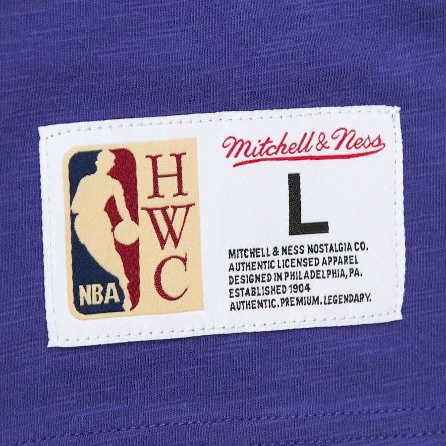 Футболка Mitchell & Ness Purple Phoenix Suns Vintage Logo Legendary Slub T-Shirt