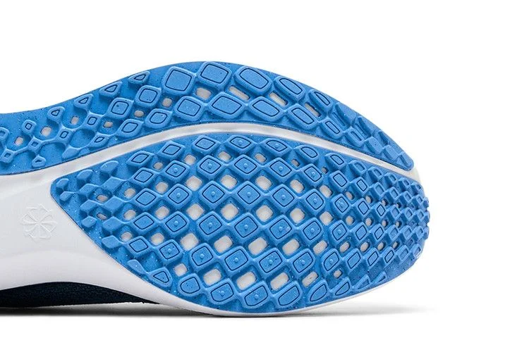 Кроссовки Nike Air Zoom Pegasus 41 'UNC'