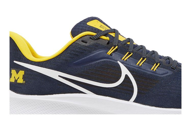 Кроссовки Nike Air Zoom Pegasus 39 'Michigan'
