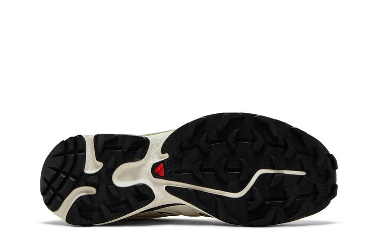 Кроссовки Salomon XT-6 Expanse 'Vanilla Ice Black Coffee'