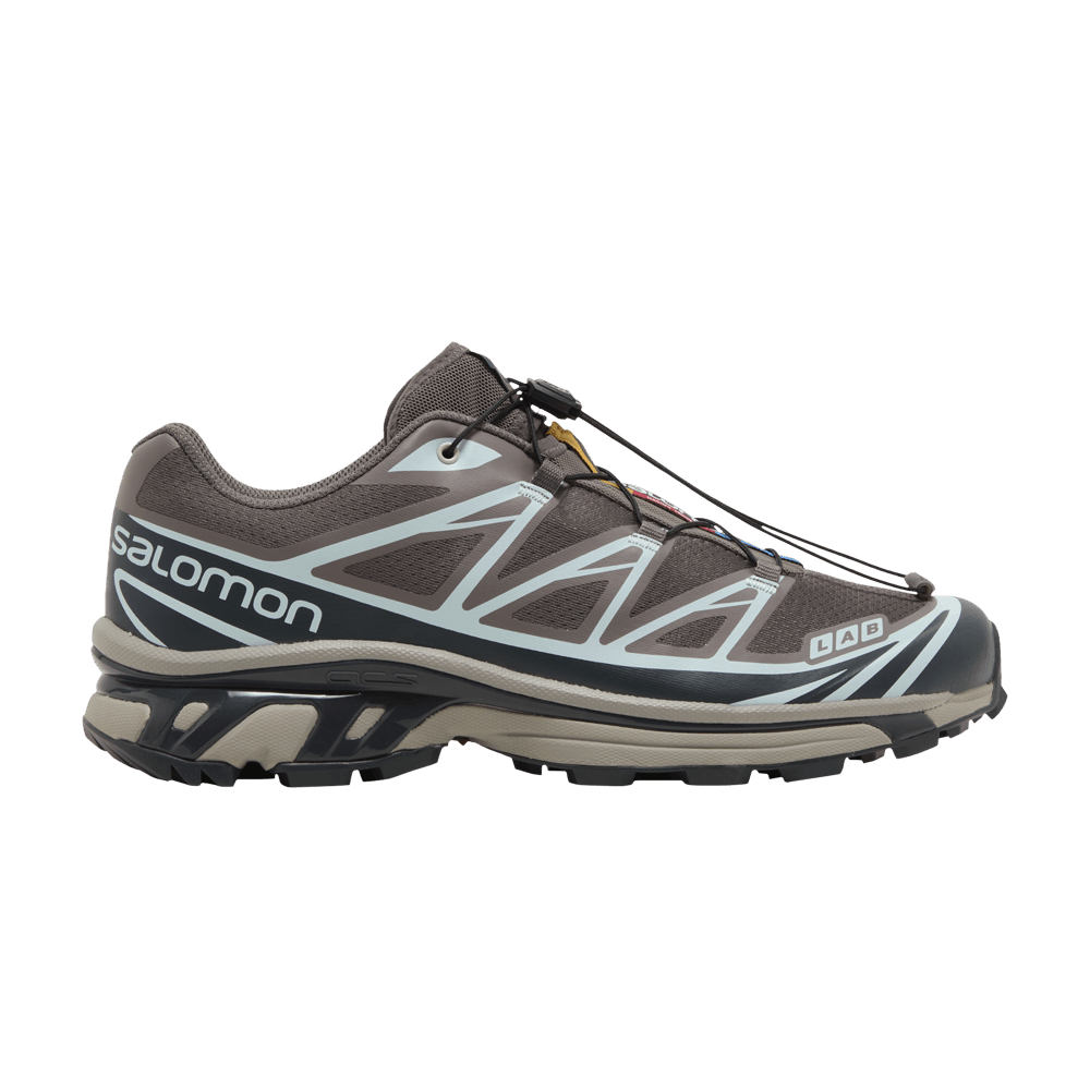 Кроссовки Salomon XT-6 'Plum Kitten India Ink'