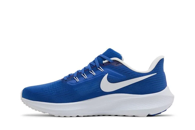 Кроссовки Nike Air Zoom Pegasus 39 'Duke'