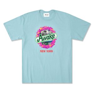 Awake-Strawberry-Kiwi-T-shirt-Glacier-300x300