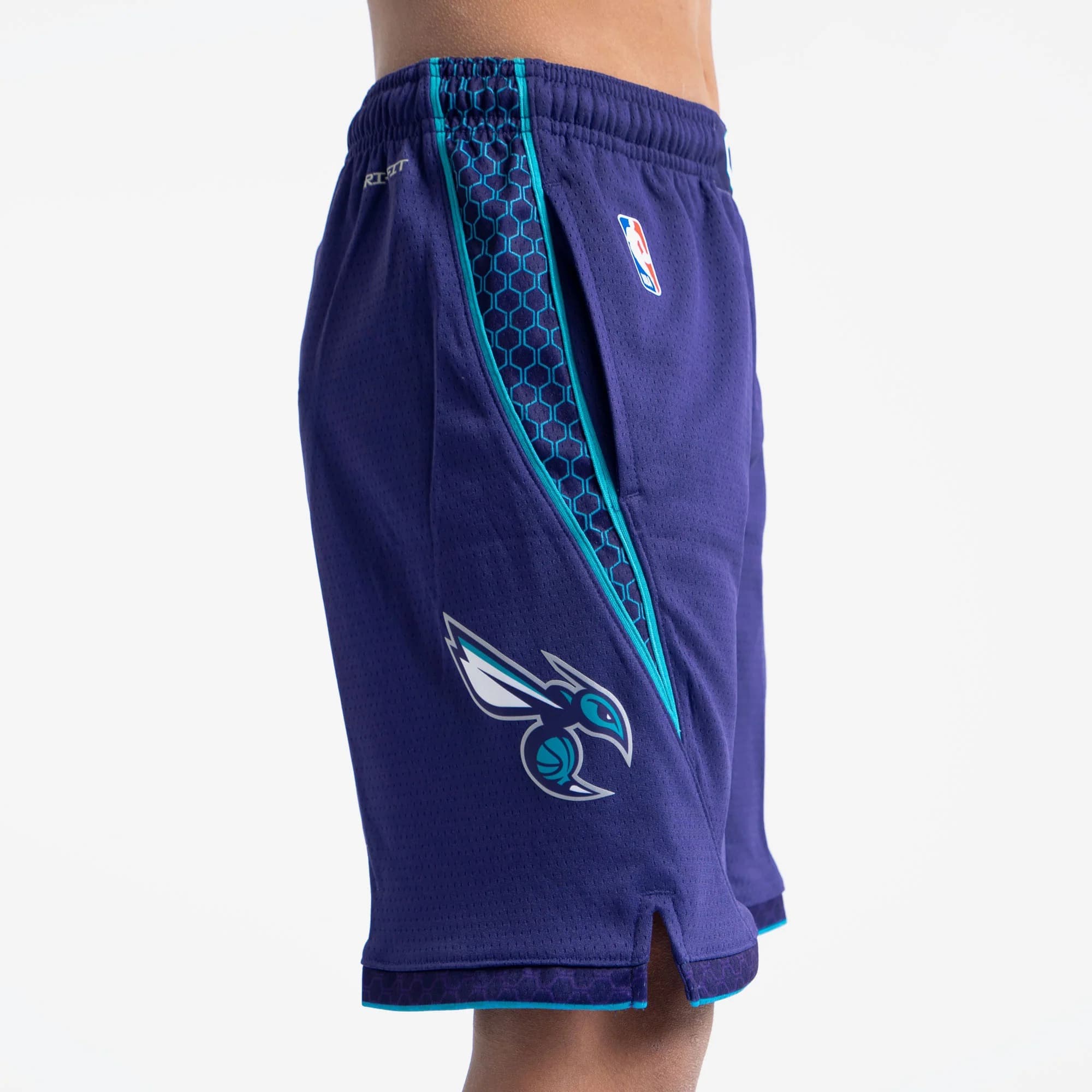Спортивные шорты Nike Charlotte Hornets 2024 Statement Edition Swingman Youth NBA Shorts