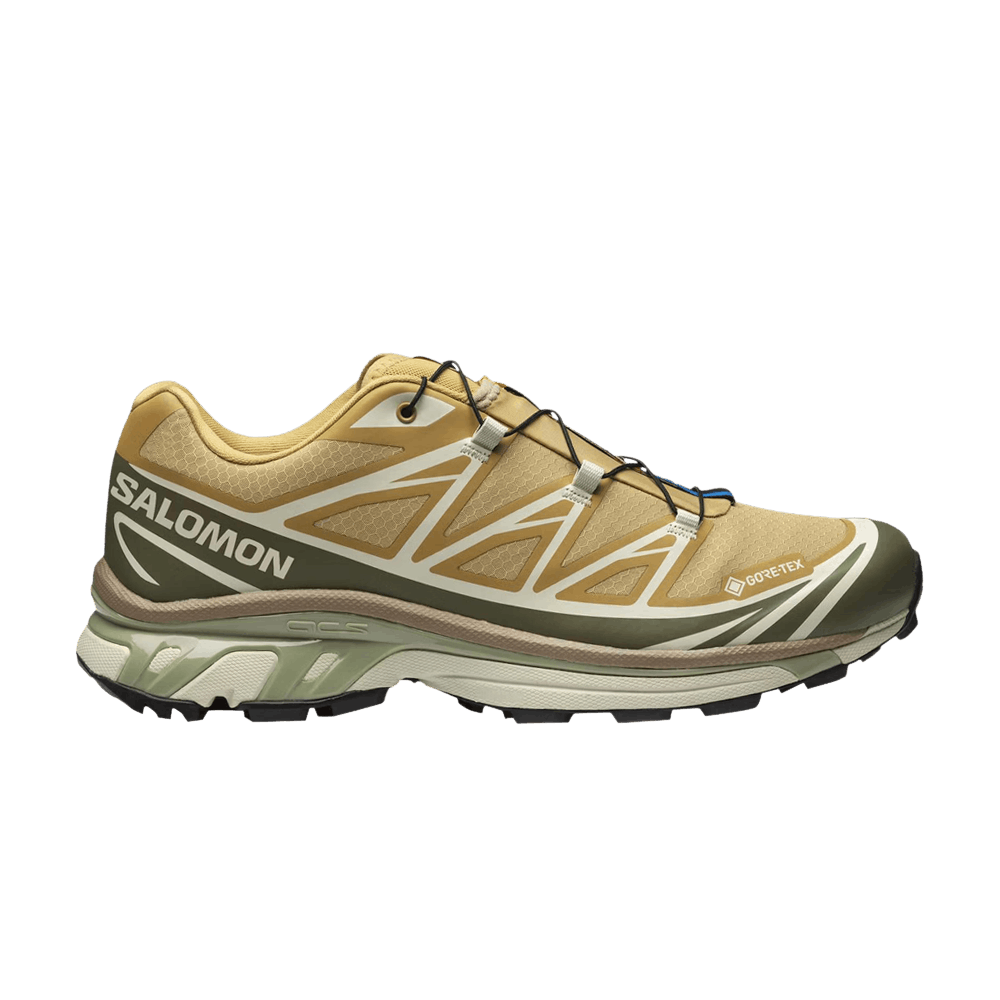 Кроссовки Salomon XT-6 GORE-TEX 'Antelope Portabella'
