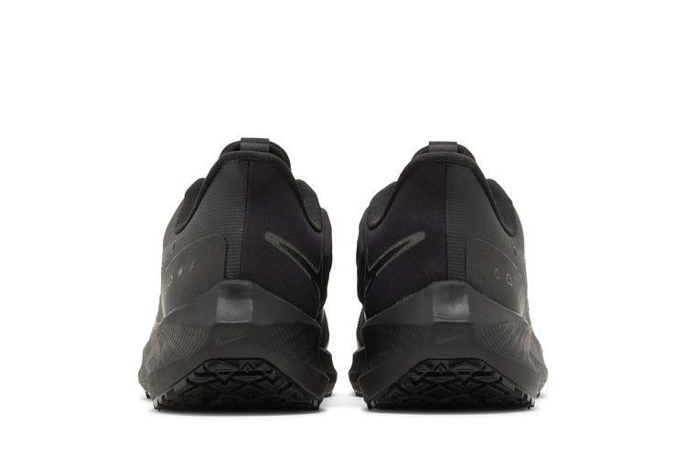 Кроссовки Nike Air Zoom Pegasus 39 Shield 'Black Off Noir'