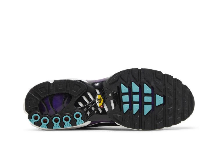 Кроссовки Nike Air Max Plus 'Reverse Grape'
