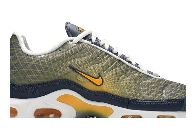 Кроссовки Nike Air Max Plus 'Wave Grid'