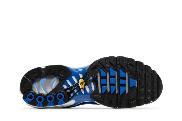 Кроссовки Nike Men's Air Max Plus 'Light Photography - Old Royal'