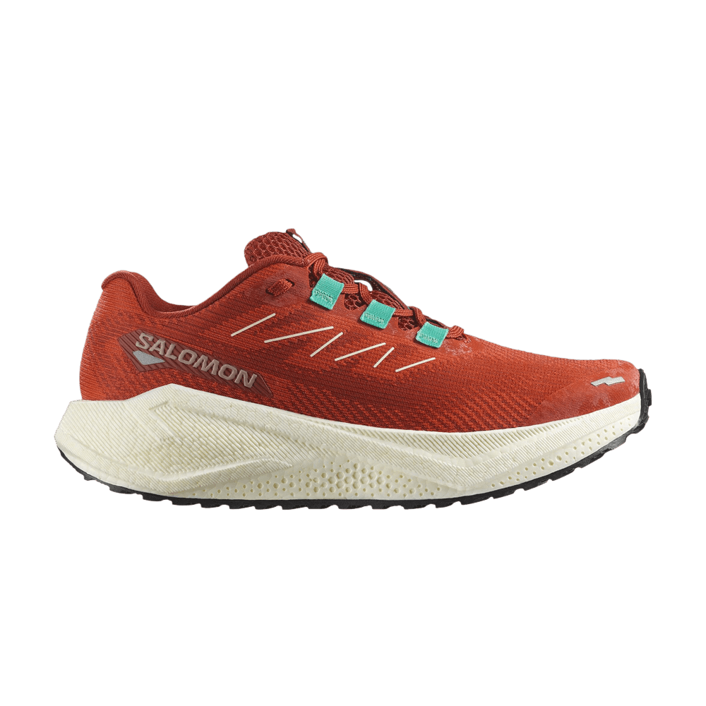 Кроссовки Salomon Wmns Aero Blaze 3 GRVL 'Burnt Ochre'