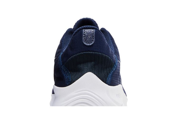 Кроссовки Nike Flex Experience Run 11 Next Nature 'Midnight Navy'