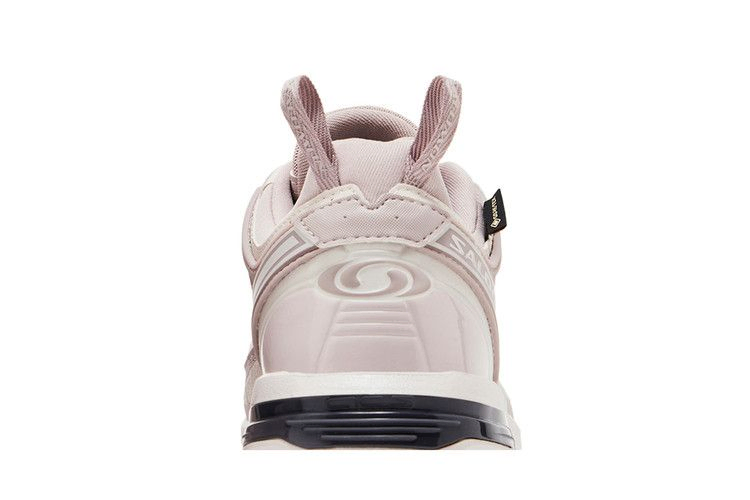 Кроссовки Salomon ACS Pro GORE-TEX 'Cloud Grey Lilac Ash'
