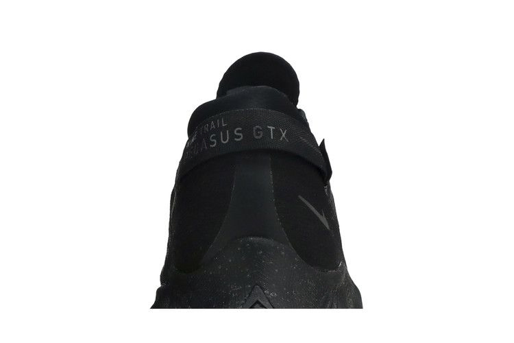 Кроссовки Nike Pegasus Trail 2 GTX 'Black Metallic Dark Grey'