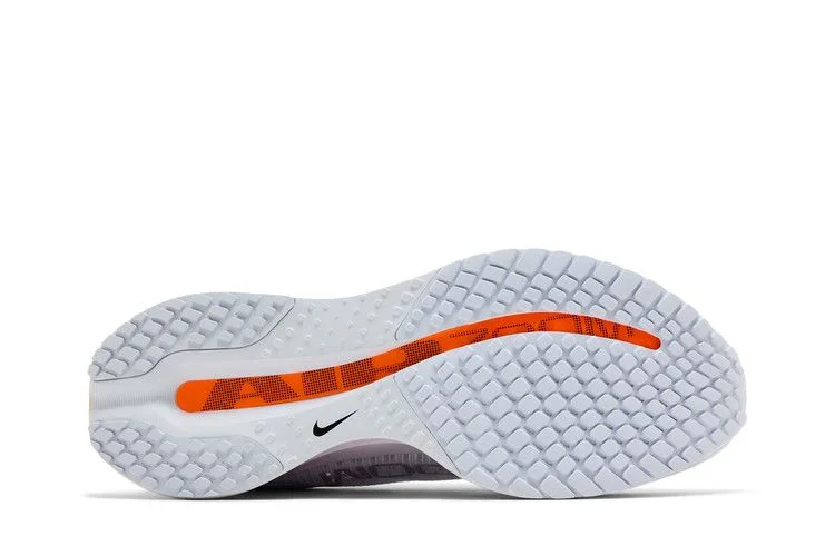 Кроссовки Nike Wmns Pegasus Premium 'Airscape'