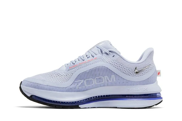 Кроссовки Nike Pegasus Premium 'Persian Violet'