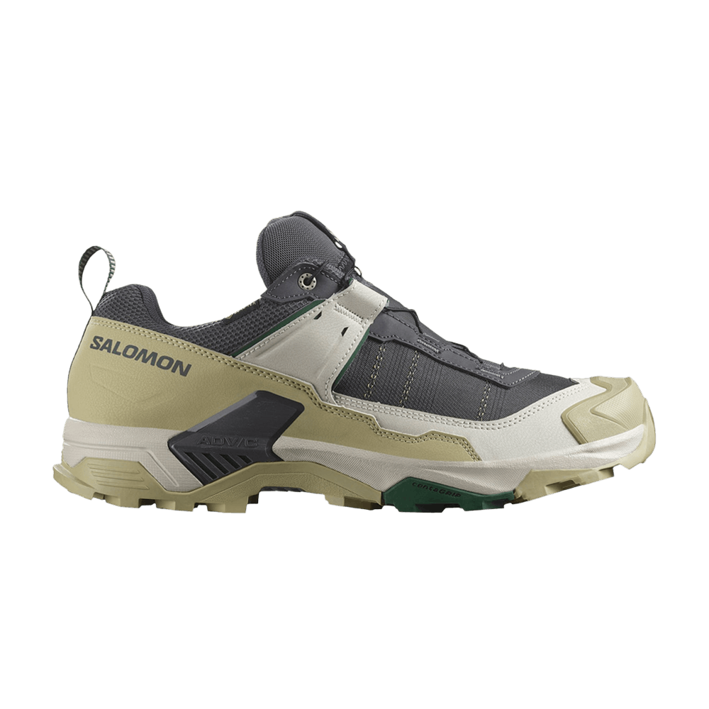 Кроссовки Salomon X Ultra 5 GORE-TEX 'Asphalt Eden'