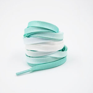 Gorilla-Guard-Nike-Air-Force-1-Mint-Gradient-Laces-300x300