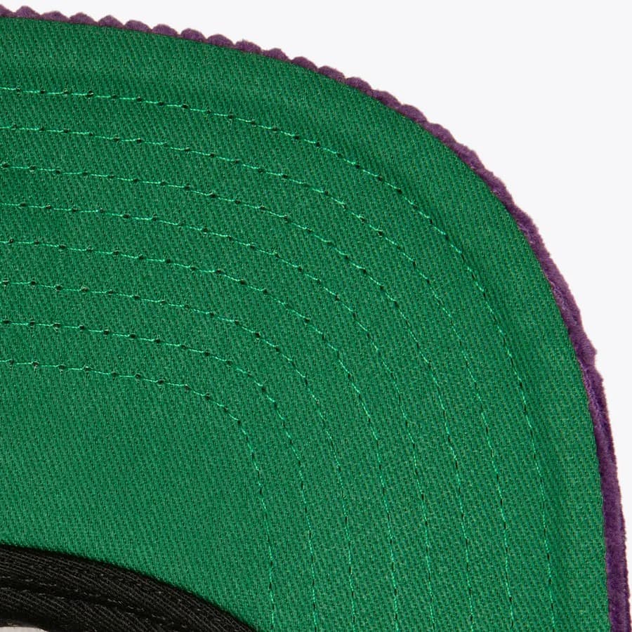Бейсболка Mitchell & Ness Purple Toronto Raptors Hardwood Classics Levelz Snapback Hat