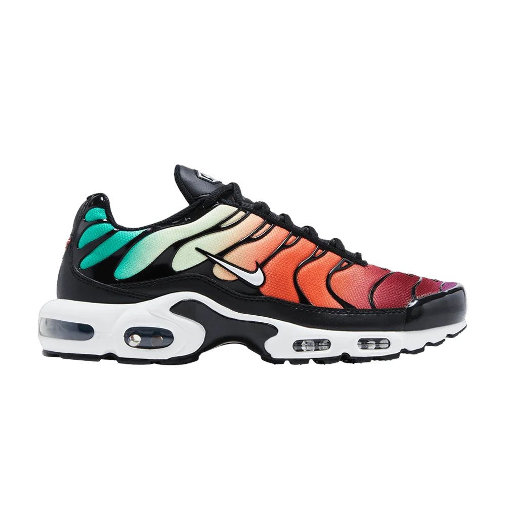 Krossovki-Nike-Wmns-Air-Max-Plus-Rainbow