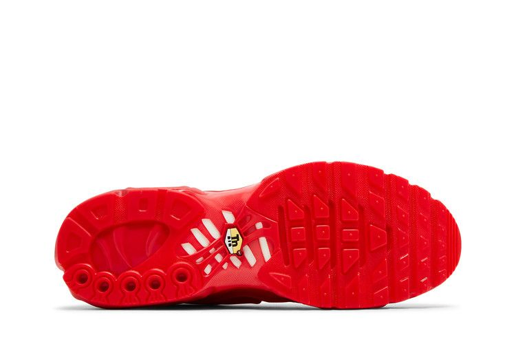 Кроссовки Nike Air Max Plus 'Lava Red'