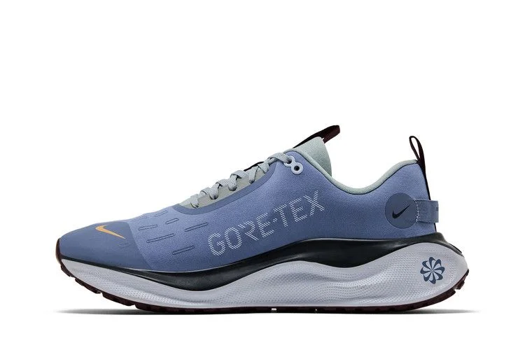 Кроссовки Nike ReactX Infinity Run 4 GORE-TEX 'Ashen Slate'
