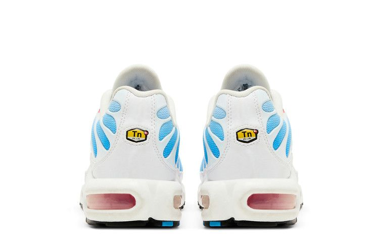 Кроссовки Nike Air Max Plus 'Tide' 2022