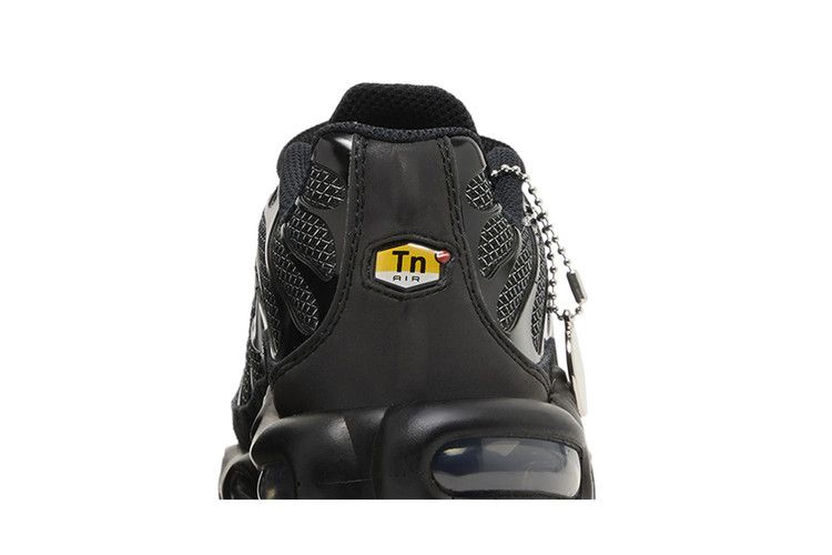 Кроссовки Nike Wmns Air Max Plus 'Black Metallic Silver'