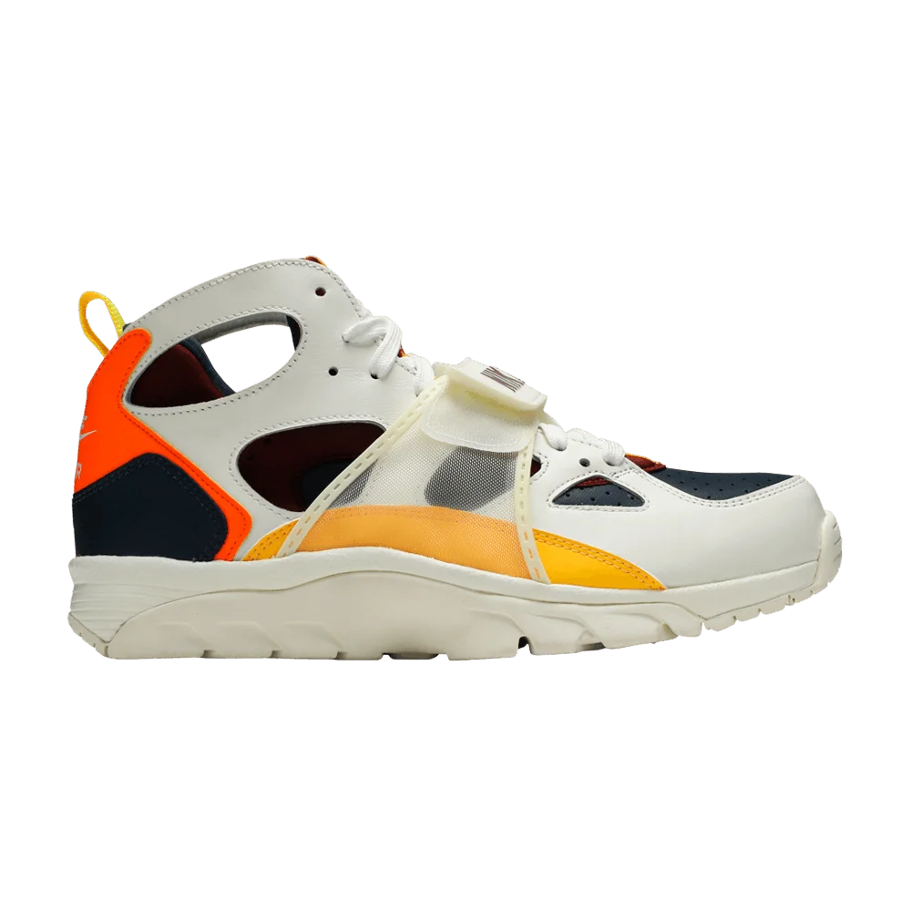 Krossovki-Nike-Air-Trainer-Huarache-City-Pride-Houston