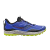 peregrine-12-blue-raz-acid-s20737-25-100x100
