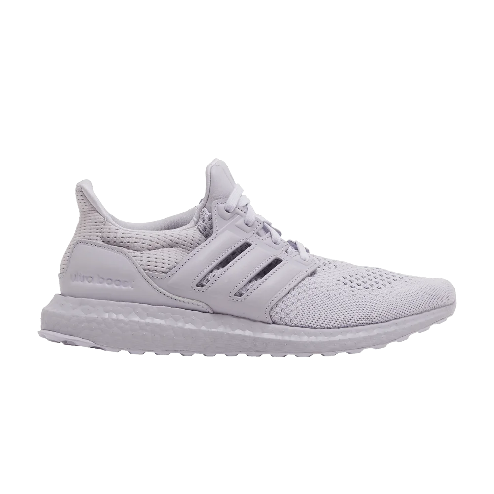 Krossovki-adidas-Wmns-UltraBoost-1.0-Silver-Dawn