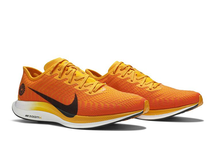 zoom-pegasus-turbo-2-blue-ribbon-sports-ck9661-800_07