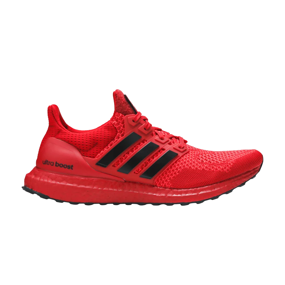 Krossovki-adidas-UltraBoost-1.0-NCAA-Pack-Nebraska