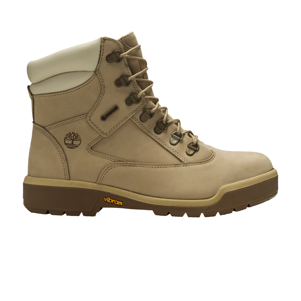 field-boot-6-inch-gtx-tb0a1j38