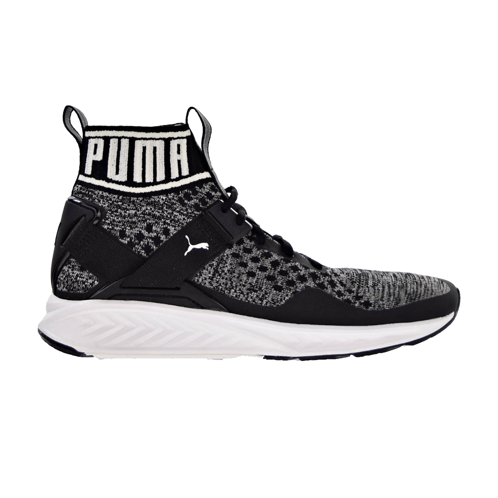Кроссовки Puma Ignite evoKnit 'Black'